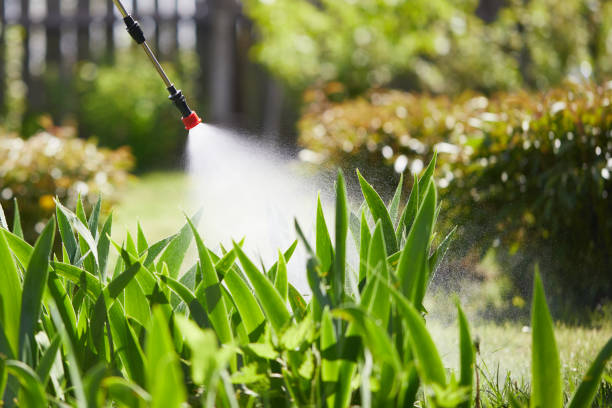 24/7 Emergency Mosquito Control experts in Murphys Estates, SC