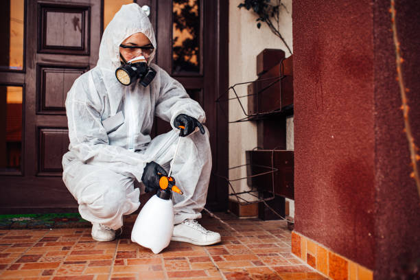 Reliable Mosquito Control contractor in Murphys Estates, SC by Nex Pest Control