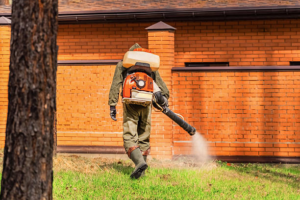 Top rated local Mosquito Control specialists in Murphys Estates, SC